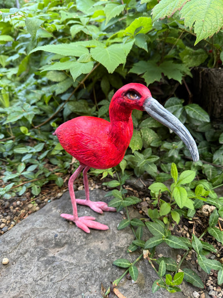 BLUSH the IBIS TOTUM FAUNA