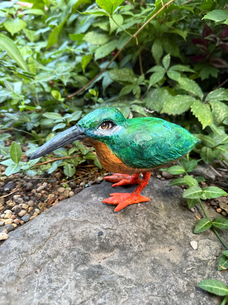 KING BIRD TOTUM FAUNA