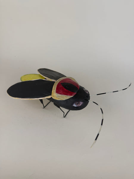 FIREFLY TOTUM FAUNA