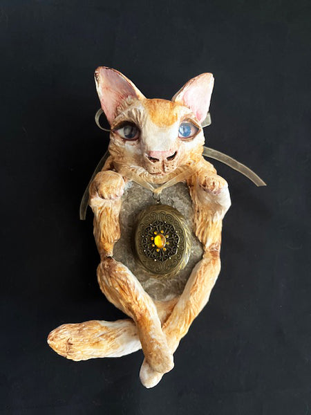 AMBER the CAT TOTUM FAUNA