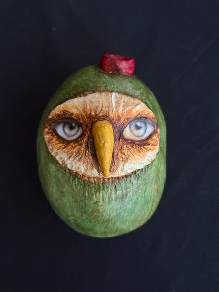 OWL-LIVE TOTUM FAUNA