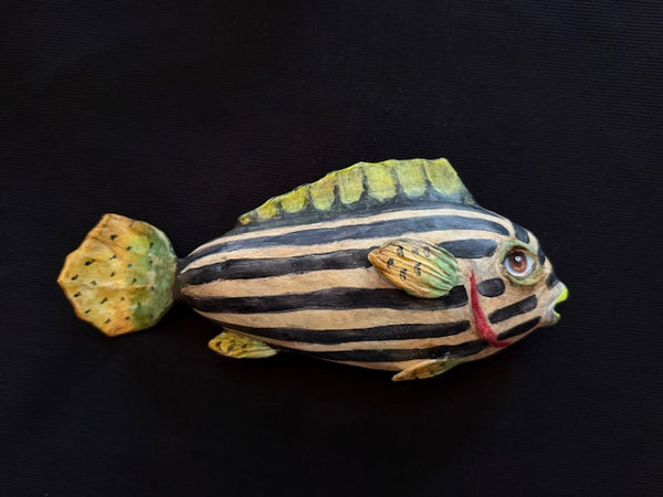 ZEBRA FISH TOTUM FAUNA