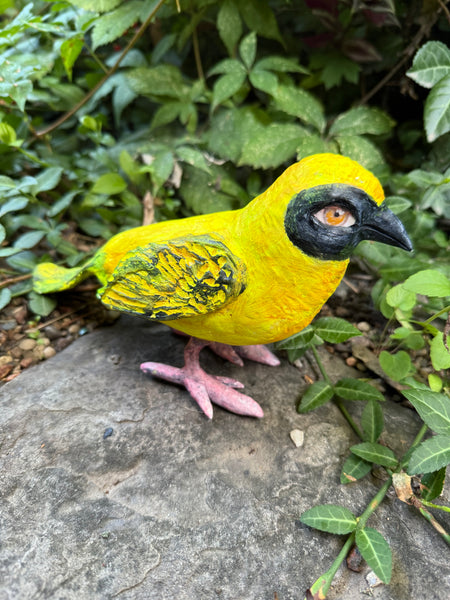 CHALICE BIRD TOTUM FAUNA