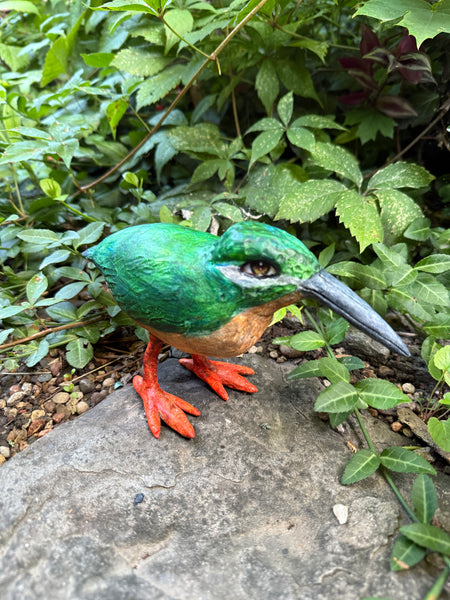 KING BIRD TOTUM FAUNA