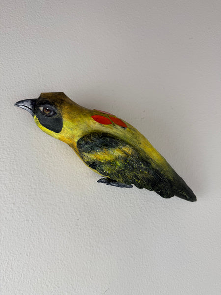 OCHRE TOTUM FAUNA