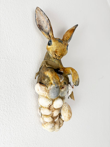 TREASURE COLLECTOR #1 TOTUM FAUNA