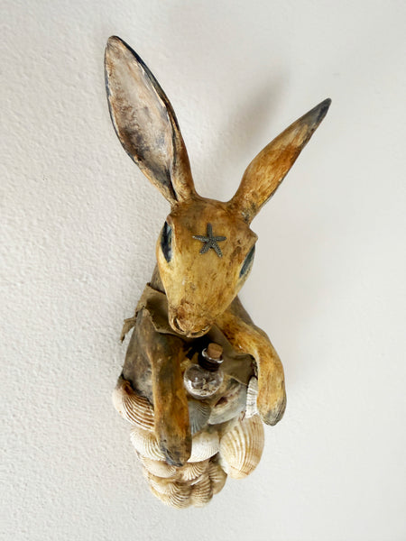 TREASURE COLLECTOR #1 TOTUM FAUNA