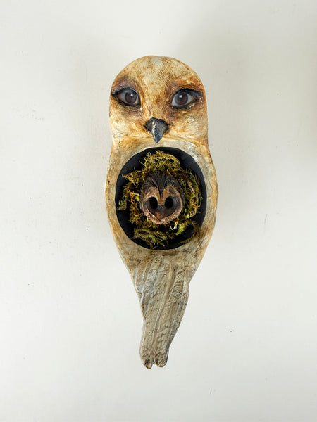 MOSSY OWL TOTUM FAUNA