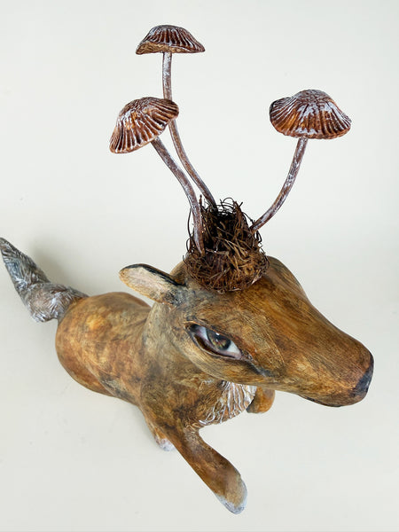 MONTY TOTUM FAUNA